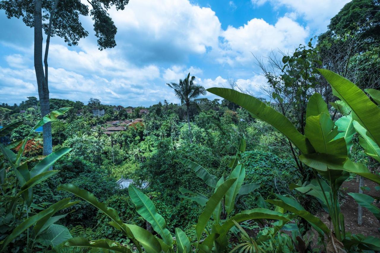 Murni'S Houses & Spa Ubud Extérieur photo